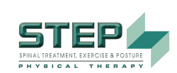STEP logo 2